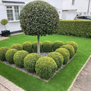 GLADIATOR 38mm Artificial grass