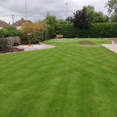 PROLINE 16mm Artificial grass