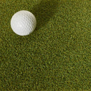 PROLINE 16mm Artificial grass