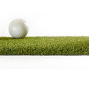 PROLINE 16mm Artificial grass