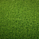 RAPTOR 40mm Artificial grass