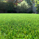 SENNA 38mm Artificial grass